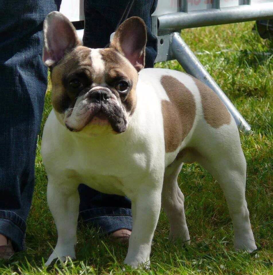 Gusto valentin du mont de Rias